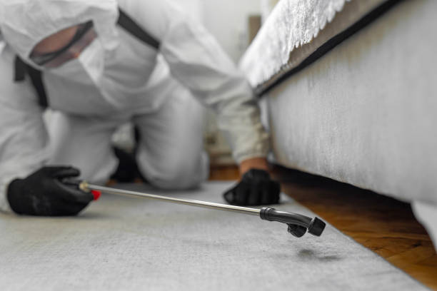 Professional Termite Control technician working in Devens, MA