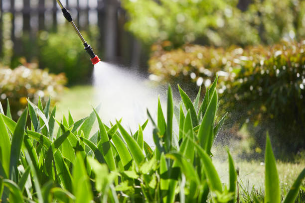 24/7 Emergency Termite Control experts in Devens, MA